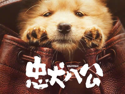 忠犬八公 · 涩谷站的九年等待