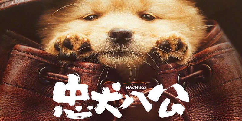 忠犬八公 · 涩谷站的九年等待