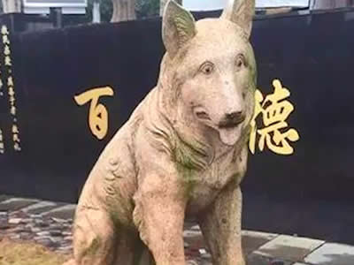 义犬赛虎 · 舍身试毒救30人