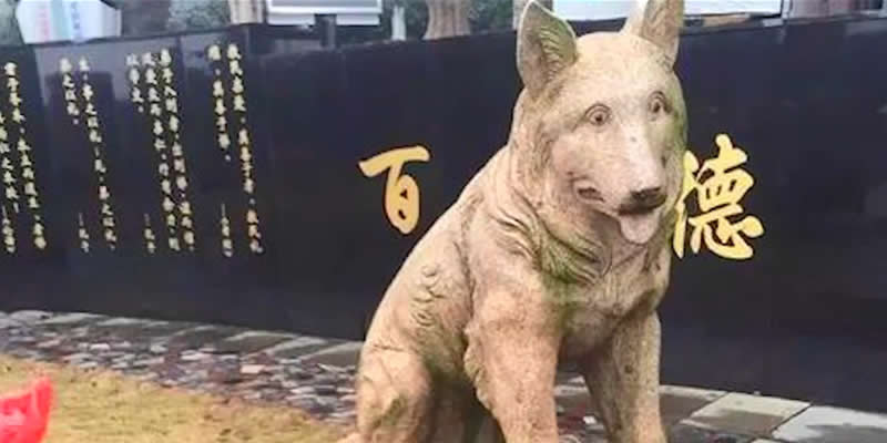 义犬赛虎 · 舍身试毒救30人
