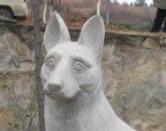 义犬赛虎